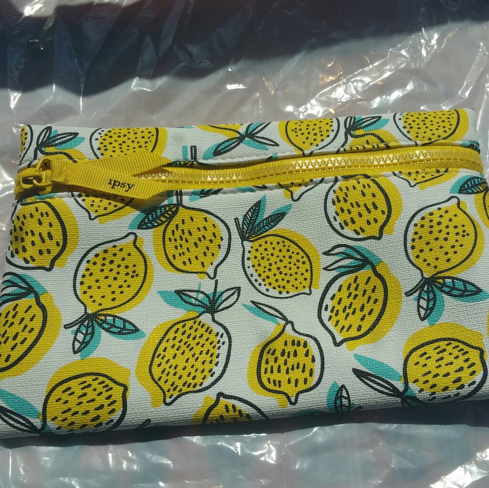 Ipsy Glam Bag